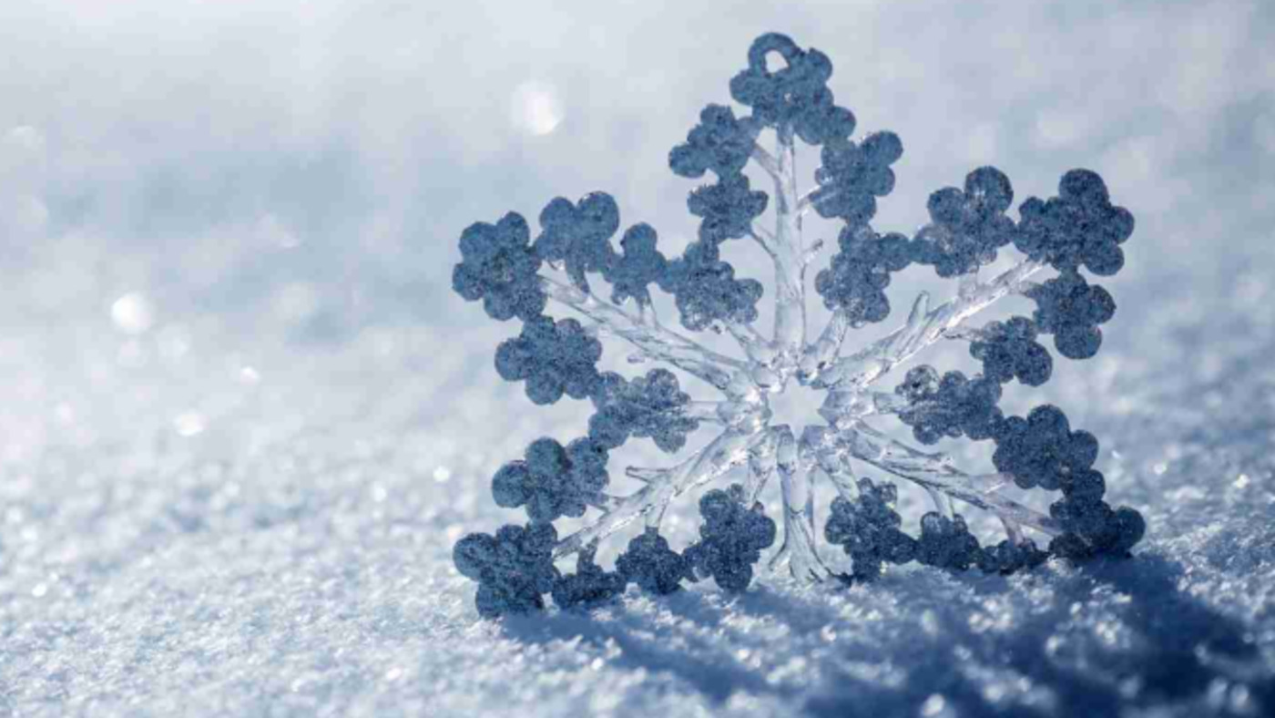 Laboratorio didattico: La scienza in un fiocco di neve