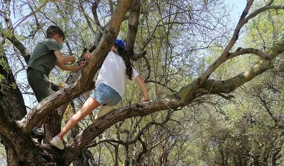 A villa are i bambini possono arrampicarsi sugli alberi