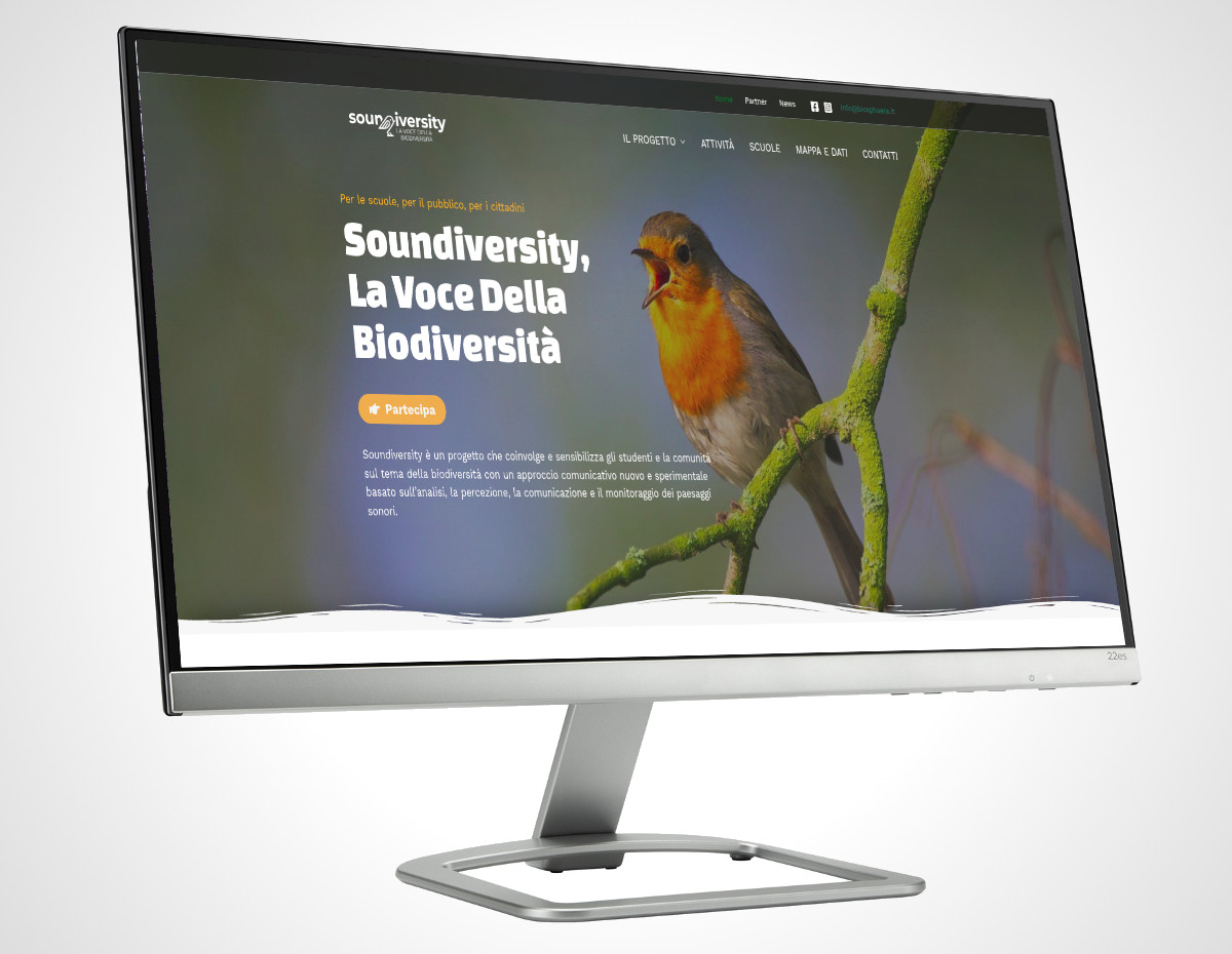 Home page Soundiversity