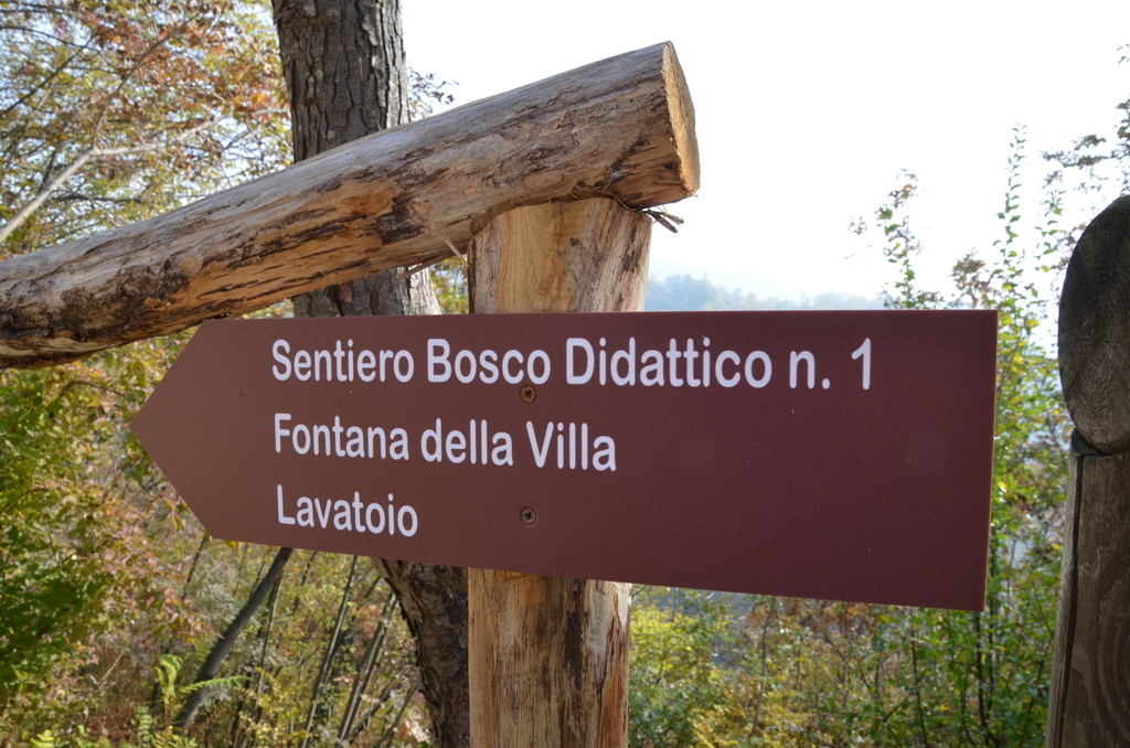 Bosco Didattico