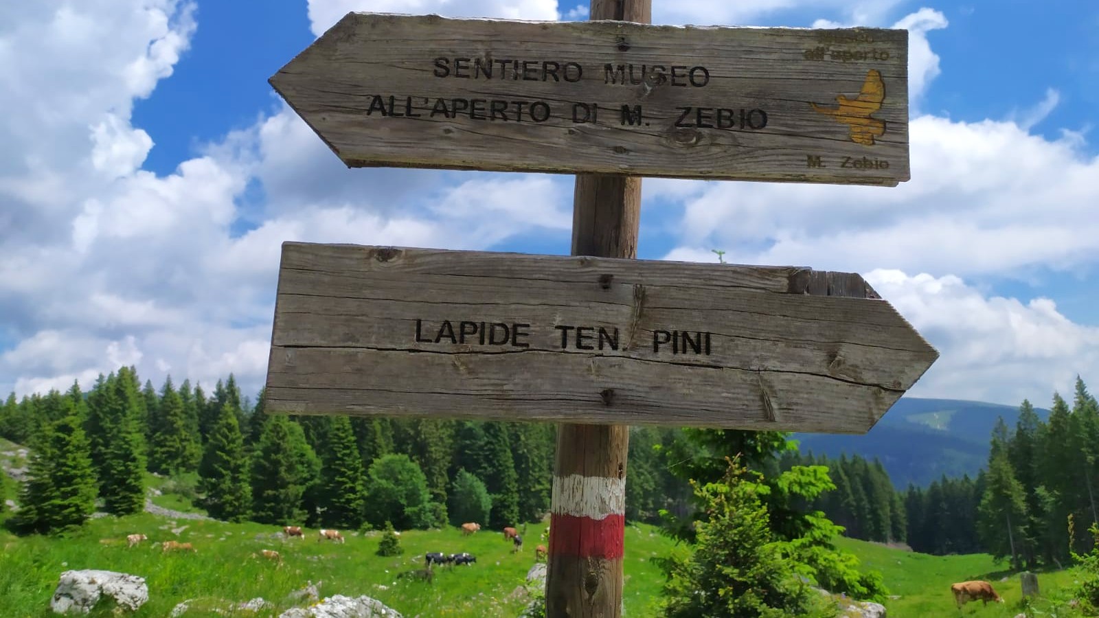 I tesori dell’Altopiano: il Monte Zebio