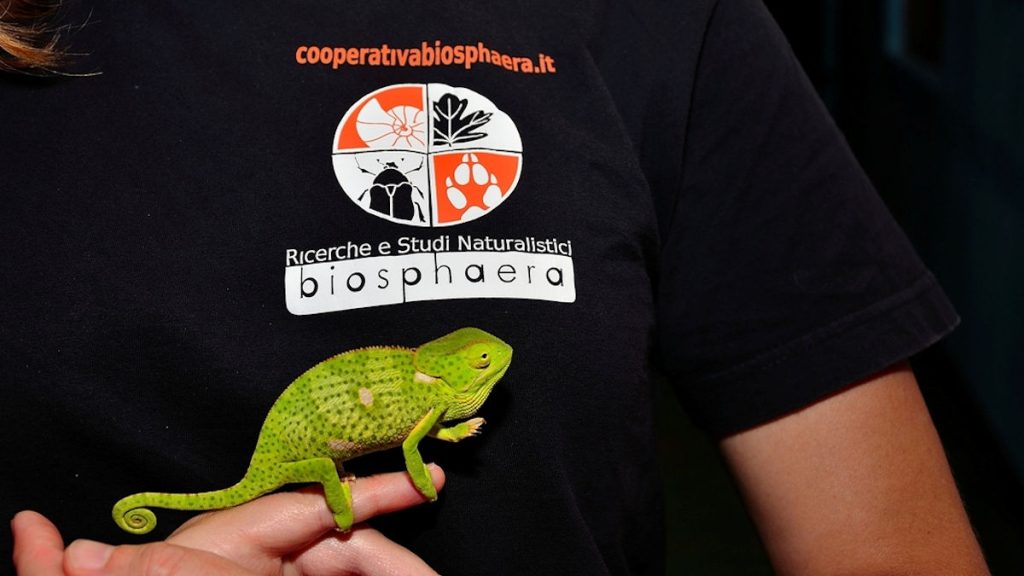 Viaggio alle Galapagos… d’Africa!